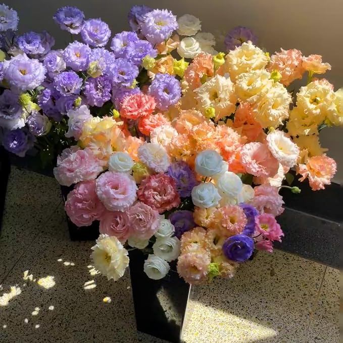 Mix Lisianthus Seeds for Planting, 301+pcs Perennial Lisianthus Flower Seeds, Non-GMO Cut Flowers Beauty Ornamental Flowers Plants for Home Garden Outdoors Indoors