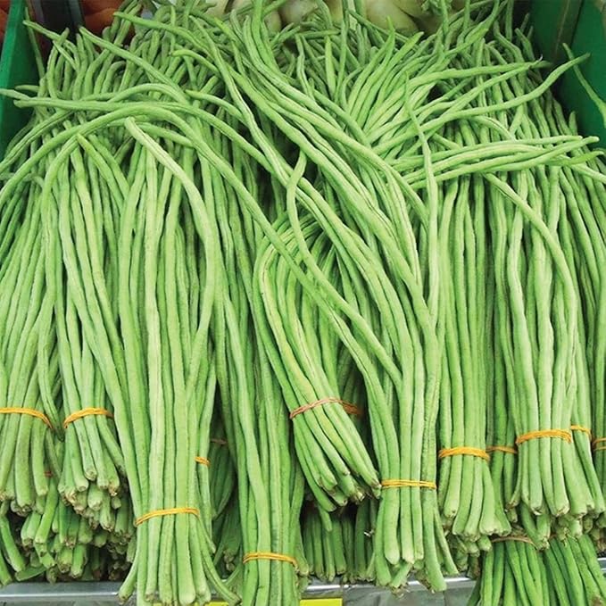 100+ Seeds Snake Oriental Yard Long Asparagus Pole Bean Seeds for Planting Red and Green Noodle Beans Heirloom Non-GMO Delicious Vegetable Seeds(50 Pcs for 2 Pack)