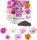 Groundio 7 Varieties Cosmos Seeds Mix, 1 Ounce Over 5000+ Crazy Blend Cosmo Flowers Seed for Planting, Open Pollinated, Non-Gmo, Heirloom (Daydream, Gloria, Picotee, Purity, Radiance, Pinkie, Sulphur)