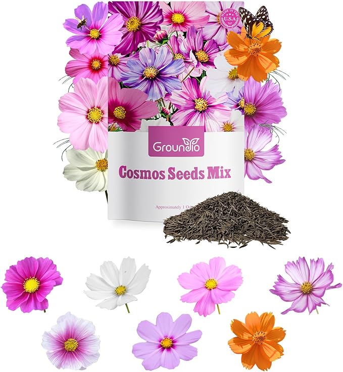 Groundio 7 Varieties Cosmos Seeds Mix, 1 Ounce Over 5000+ Crazy Blend Cosmo Flowers Seed for Planting, Open Pollinated, Non-Gmo, Heirloom (Daydream, Gloria, Picotee, Purity, Radiance, Pinkie, Sulphur)