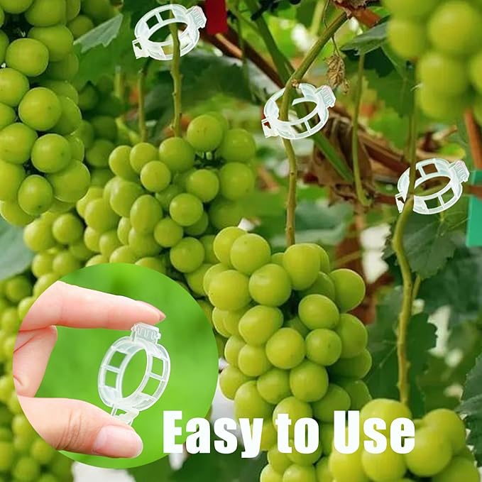 Plant Support Garden Clips, Tomato Clips, Crop Clips for Vine Vegetables, Fixing Tomato, Sweet Pepper, Eggplant, Makes Plants Grow Upright and Healthier 50pcs