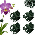 50 Pcs Large Orchid Clips - 1.2-inch Max Opening, Dark Green Heavy-Duty Plant Support Clips, Gentle Hold for Thick Stems and Large Orchids Like Cattleya and Dendrobium