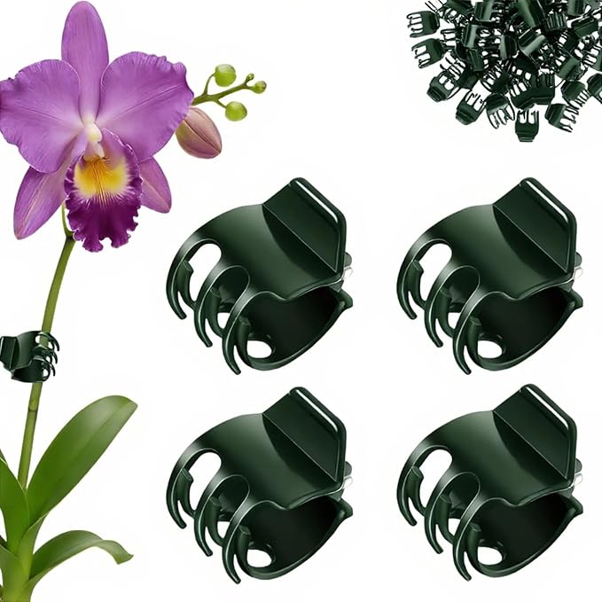50 Pcs Large Orchid Clips - 1.2-inch Max Opening, Dark Green Heavy-Duty Plant Support Clips, Gentle Hold for Thick Stems and Large Orchids Like Cattleya and Dendrobium