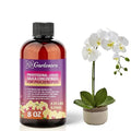 𝐏𝐑𝐄𝐌𝐈𝐔𝐌 Liquid Silica Plant Supplement - 8oz (250mL) - PHALAENOPSIS Plants Liquid Silica Boost Fertilizer - Stronger Stems & Healthy Leaves for Indoor & Outdoor Orchid Plants (Makes 45 Gallons)