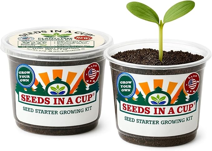 Seeds In A Cup Spearmint Grow Kit – Indoor Herb Garden Starter Set with Non‑GMO Spearmint Seeds, Soil & Cup – Easy Spring Planting Gift for Beginners, Kids & Home Kitchens