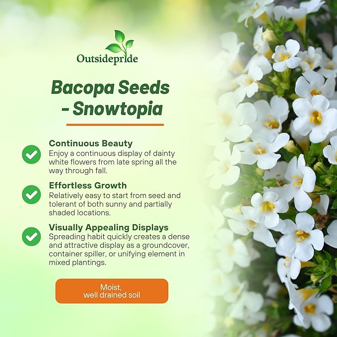 Outsidepride White Snowtopia Bacopa Seeds - 10 Pcs Low Maintenance Perennial Flower Seeds with Cascading, Vibrant Blooms & Trailing Growth Habit, for Containers, Baskets, & Window Boxes