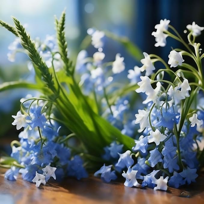 5000 Campanula Medium Bellflower Flower Seeds for Planting, Blue Campanula Flower Seed, Non-GMO Bellflower Seeds for Garden Borders Containers Home
