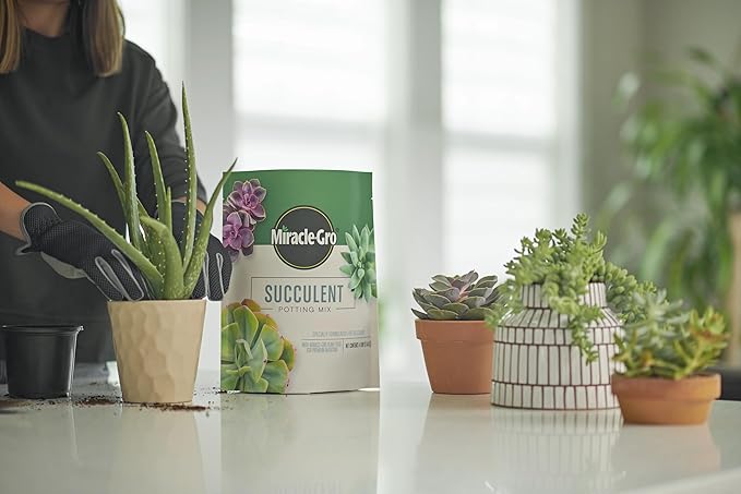 Miracle-Gro Succulent Potting Mix - Potting Soil Mix for Indoor Succulents, Aloe Vera and More, Made with Miracle-Gro Plant Food, 4 qt. (3-Pack)