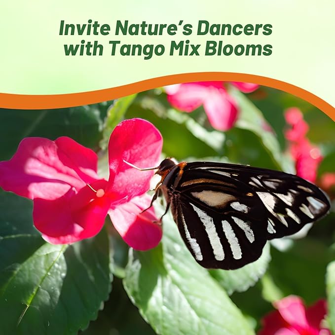 Outsidepride Xtreme Tango Mix Impatiens Flower Seeds - 200 Pcs Annual, Compact & Pollinator Friendly, Impatiens Seeds for Planting w/Vibrant, Abundant Blooms for Shade Gardens & Container Displays