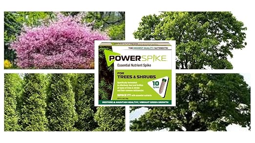 for Evergreens, Trees & Shrubs, ferilizer Spike. Essential Nutrient Spike formulated to Feed and fertilize All Types of evergreens, Trees & shubs. Packed with Essential nutrients., 93309