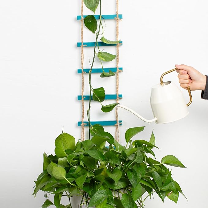 Blue Chain Trellis for Climbing Plants Indoor - Durable Natural Wood Design for Pothos and Ivy Support - Decorative Decorative Wall Feature for Home and Garden