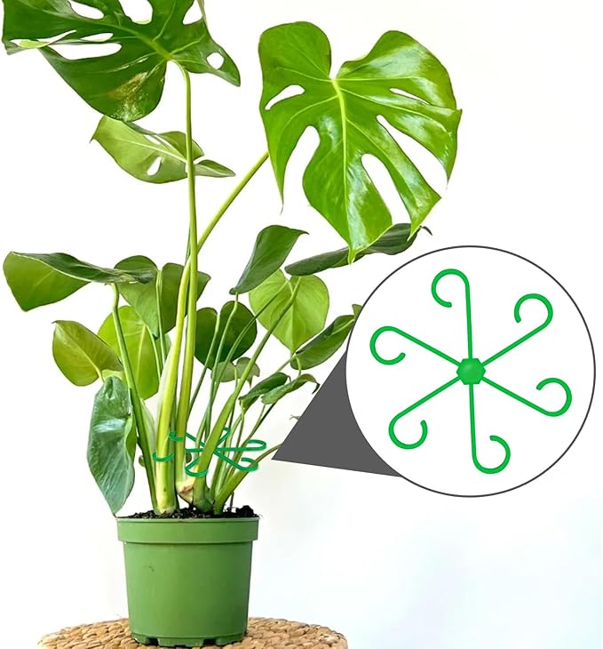 PAGOW 8 Pcs Climbing Houseplant Stem Supports, Plastic Flower Plant Growth Stakes Trellis, Reusable Plant Stem Holders, Stem Hook Growth Accessories for Plant Garden (4 Sizes)