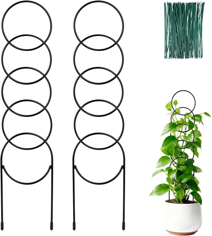 16 Inch Plant Trellis Indoor for Climbing Plants,Metal Small Garden Trellis for Potted Plants,Plant Stakes for Indoor Plants Accessories Hoya,Flower,Plant Support,Plant Gifts 2PCS