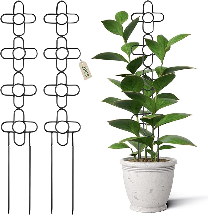 24Inch Trellis for Climbing Plants Indoor, Small Garden Metal Trellis for Potted Plants, Plant Stakes for Vine Ivy Flower Plant Support Indoor Plants Accessories Hoya, Flower Shape