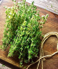 Seeds Summer Savory - Indoor - 1000 Seeds - Heirloom Herb - GMO Free