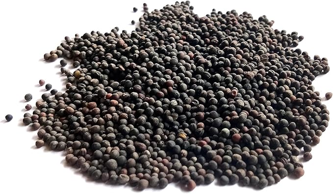 Kale Seeds for Planting - Plant & Grow Heirloom Kale Varieties Home Outdoor Garden – Easy Grow Planting Packet Instructions Included, Great Gardening Gift – 5 Packets of Each Variety