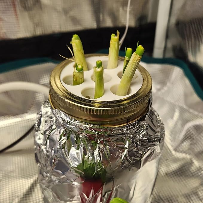Green Onion Grow for Mason Jar Lid of 6cm,Minimal Kitchen Garden Propagation Station,3D Printed Easy Hydroponic Insert White