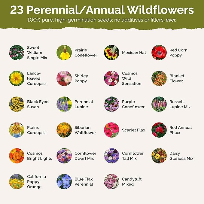 Eden Brothers Michigan Wildflower Mixed Seeds for Planting, 1 oz, 30,000+ Seeds with Cornflower, Sweet William, Cosmos | Attracts Pollinators, Plant in Spring or Fall, Zones 3, 4, 5, 6, 7, 8, 9, 10
