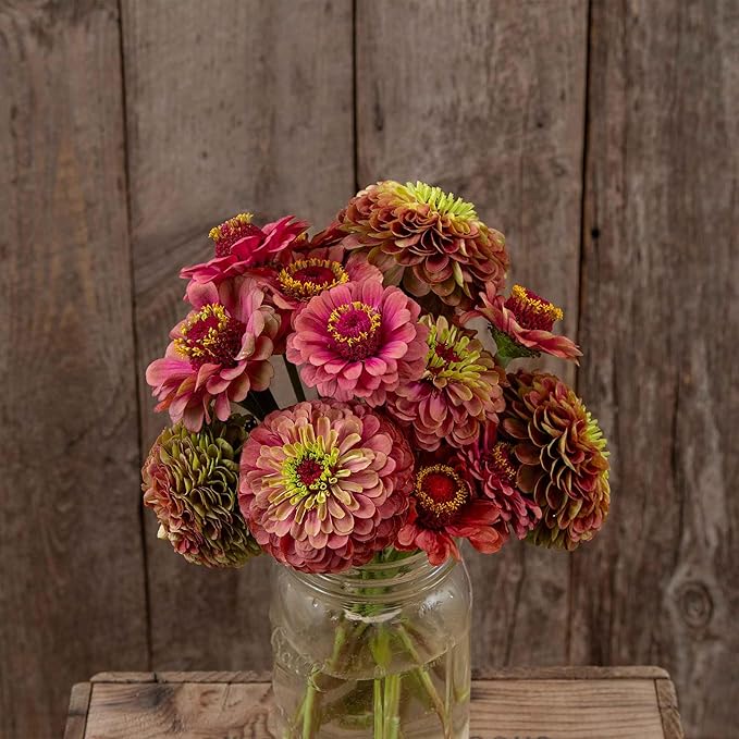 Eden Brothers Zinnia Seeds (Organic) - Queeny Lime Red