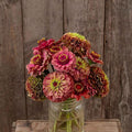 Eden Brothers Zinnia Seeds (Organic) - Queeny Lime Red