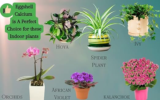 U.S.A. Eggshell Fertilizer Powder, 4 Ounce, for Tomato Plants, Orchids, Calcium Magnesium Phosphorus Powder for Indoor and Outdoor Flowers and Plants