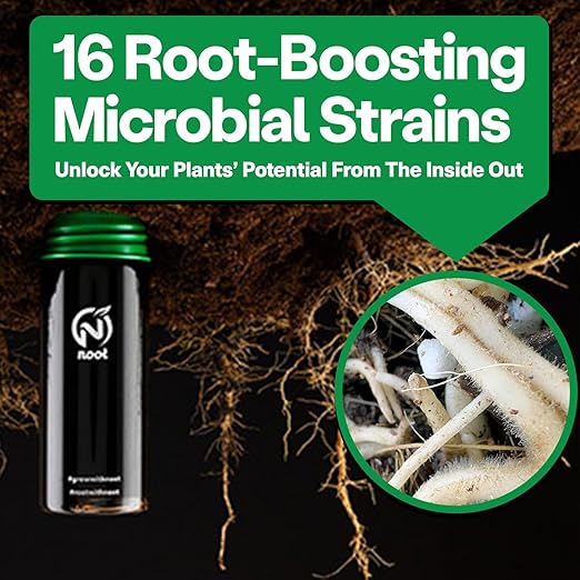 Noot 'Keep House Plants Alive' Bio-Organic Plant Food Liquid Fertilizer, Makes 3.5 Gallons, Root Boosting Mycorrhizae, Fast Growth for Monstera, Aroid, Succulent, Orchid - Use Every Watering (1 Vial)
