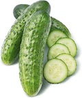 50 Straight Eight Cucumber Seeds - Heirloom Non-GMO USA Grown Vegetable Seeds for Planting in Trellises, Raised Beds, Space Gardens- Pickling and Slicing Cucumber