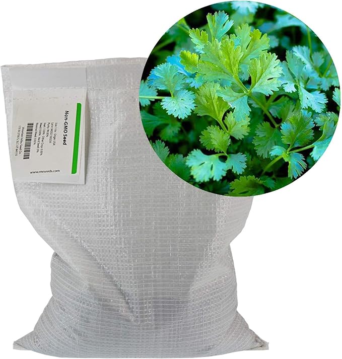 Slow Bolt Cilantro Herb Garden Seeds - 5 Lb Bulk - Non-GMO, Heirloom, Organic - Herbal Gardening & Microgreens Seeds (Coriander)