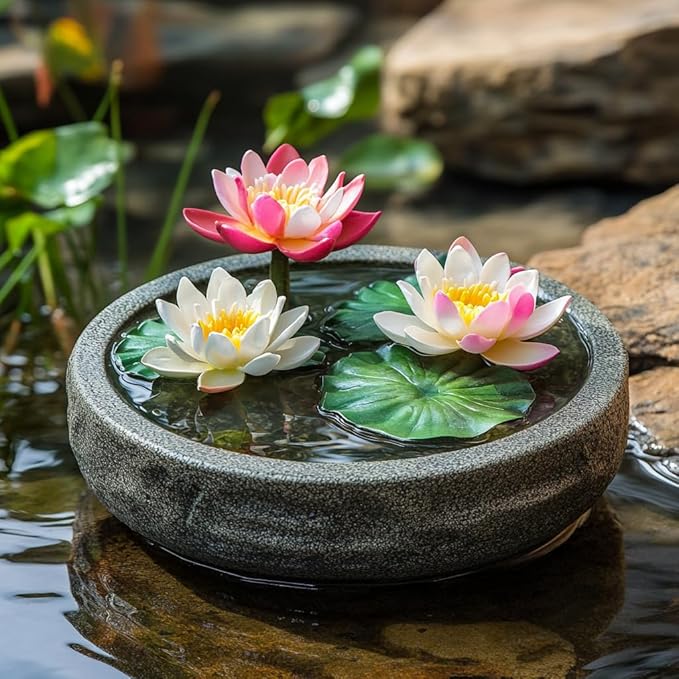 10 Mixed Bowl Lotus Flower Seeds for Planting, Water Lily Flower Plants, Bonsai Lotus Seeds, High Germination, Red, Bule, Pink, White and Purple Colors, Non-GMO Aquatic Plant Seeds