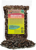 GARDENERA Monstera Obliqua Potting Mix - Retains Moisture and Enhances Root Growth - 5 Quart