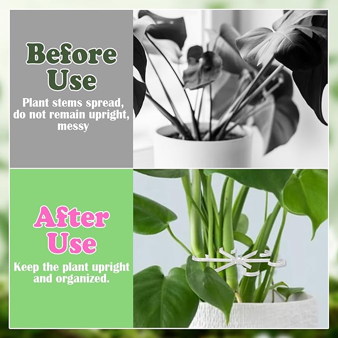 PAGOW 8 Pcs Climbing Houseplant Stem Supports, Clear Plastic Flower Plant Growth Stakes Trellis, Reusable Plant Stem Holders, Stem Hook Growth Accessories for Plant Garden (4 Sizes)