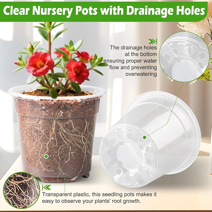 6 Inch Clear Nursery Pots with Humidity Dome, 30 Pack Reusable Seed Starter Pot with Drainage Holes, Transparent Plastic Plant Seedling Pots for Propagation Indoor Plants Outdoor Gardening