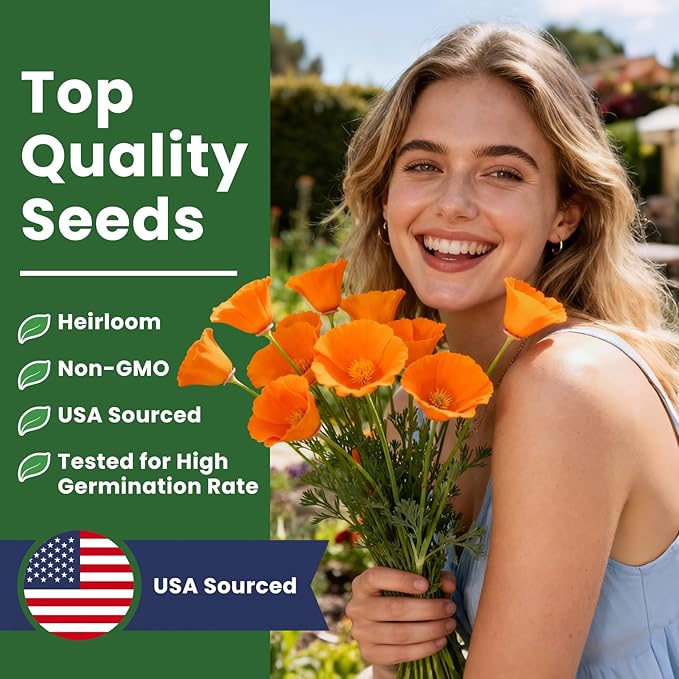 Orange California Poppy Seeds for Planting - Bulk 0.35 Ounce Packet - Over 10,000 Native Seeds - California State Flower