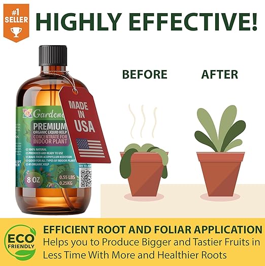 𝐁𝐄𝐒𝐓𝐒𝐄𝐋𝐋𝐄𝐑 Organic Liquid Kelp Fertilizer by GARDENERA - [32 OZ] - Organic Plant Superfood for Gardening - Concentrated Kelp & Seaweed Extract for Gardens, Lawns, Plants & Soil