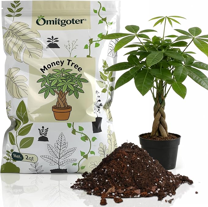 All-Natural Money Tree Soil & Indoor Potting Mix 2QT - Drainage-Enhanced Plant Soil for Healthy Indoor Plants