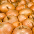 Walla Walla Onion Garden Seeds - 25,000 Seeds - Non-GMO, Heirloom Vegetable Gardening Seed