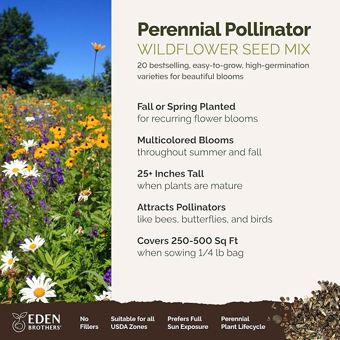 Eden Brothers Perennial Pollinator Wildflower Mixed Seeds for Planting, 1/4 lb, 120,000+ Seeds with Blue Flax, Coneflower | Attracts Pollinators, Plant in Spring or Fall, Zones 3, 4, 5, 6, 7, 8, 9, 10