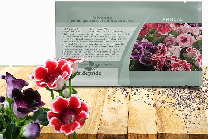 Outsidepride Gloxinia Seeds - 25 Pcs. Perennial, Easy to Grow & Low Maintenance, Flower Seeds for Planting Floriferous, Vibrant Mixed Blooms, Great for Shaded Gardens & Cut Flower Arrangements