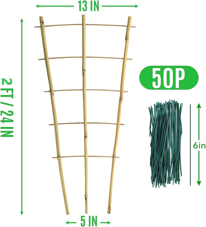 SWANGSA 6 Pack Bamboo Trellis 24 Inches for Climbing Plants, Fan-Shaped Bamboo Plant Trellis Cucumber Tomato Trellis with 50pcs Twist Ties for Outdoor and Indoor Potted Plants