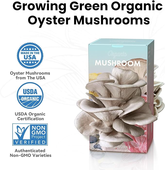 Organic Edible 4lbs Oyster Mushroom Growing Kit, Made in USA, Double-Side Mushroom Grow Kit Indoor, Harvest Gourmet Mushrooms in 10 Days, Top Gardening Gift, Holiday Gift