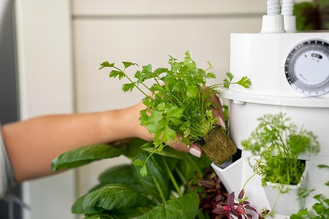Tower Garden Seed Packs (Juicing Seed Pack)