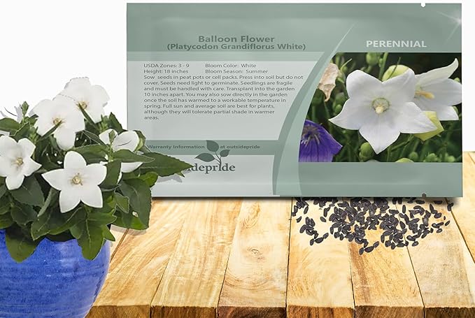 Outsidepride White Balloon Flower Seeds for Planting – 2000 Pcs Perennial, Drought-Tolerant, Easy to Grow, Low Maintenance, Pollinator-Friendly, Star-Shaped Blooms for Outdoor Gardens and Borders