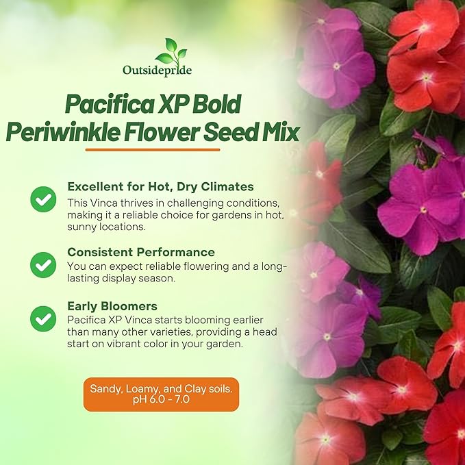 Outsidepride Pacifica XP Bold Mix Periwinkle Seeds for Planting – 100 Pcs Annual, Fast-Blooming, Heat & Drought Tolerant Vinca Flower Seeds with Vibrant Colors for Gardens, Beds & Containers