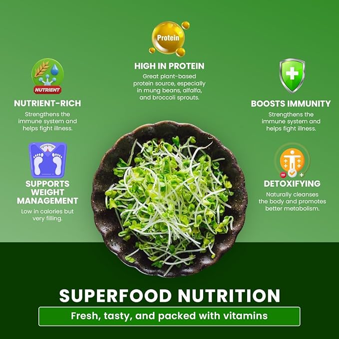 2026 Upgraded 2-Tier Stackable Seed Sprouter with Air Holes & Easy Sink-Draining Spout Tray – Soil-Free Sprouting System for Broccoli, Alfalfa & Bean Sprouts.