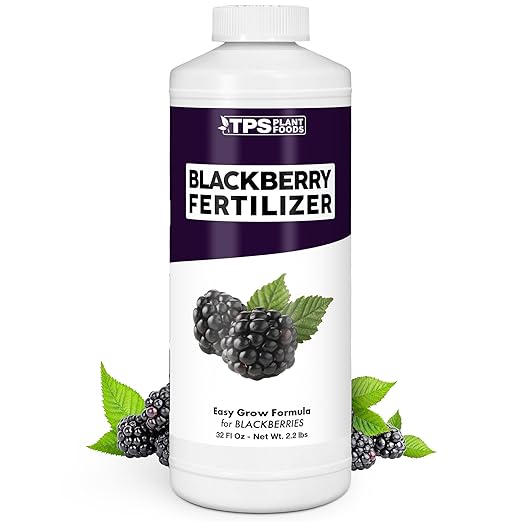 BlackBerry Fertilizer – Liquid Plant Food for Bigger Berries, Better Flowering & Stronger Cane Growth, 32 oz