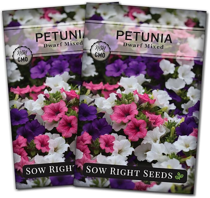 Sow Right Seeds - Dwarf Mixed Petunia Seeds to Plant - Full instructions for Planting and Growing a Flower Garden - Non-GMO Heirloom Seeds - Annual Hanging Basket Flower - Wonderful Gardening Gift (2)