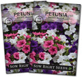 Sow Right Seeds - Dwarf Mixed Petunia Seeds to Plant - Full instructions for Planting and Growing a Flower Garden - Non-GMO Heirloom Seeds - Annual Hanging Basket Flower - Wonderful Gardening Gift (2)