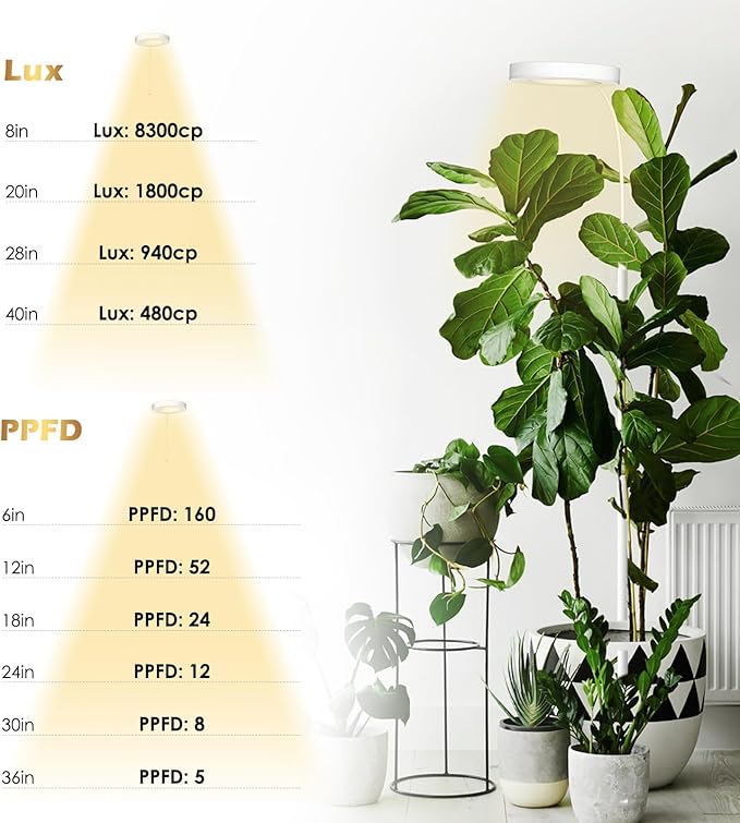 GLOWRIUM Grow Lights for Indoor Plants, Full Spectrum LED Grow Light Floor Lamp with Stand Adjustable Height and Angle, Black Plant Light with 3/9/12H Grow Light Timer (White, 20W)