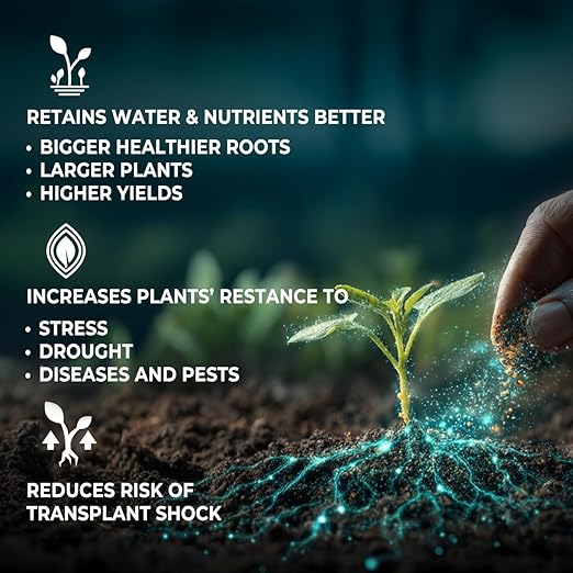 Mycorrhizae Inoculant Powder, 10 oz, 300+ Spores/g Mycorrhizal Fungi, Root Stimulator for Transplanting, Vegetables, Trees & Flowers, Made in USA