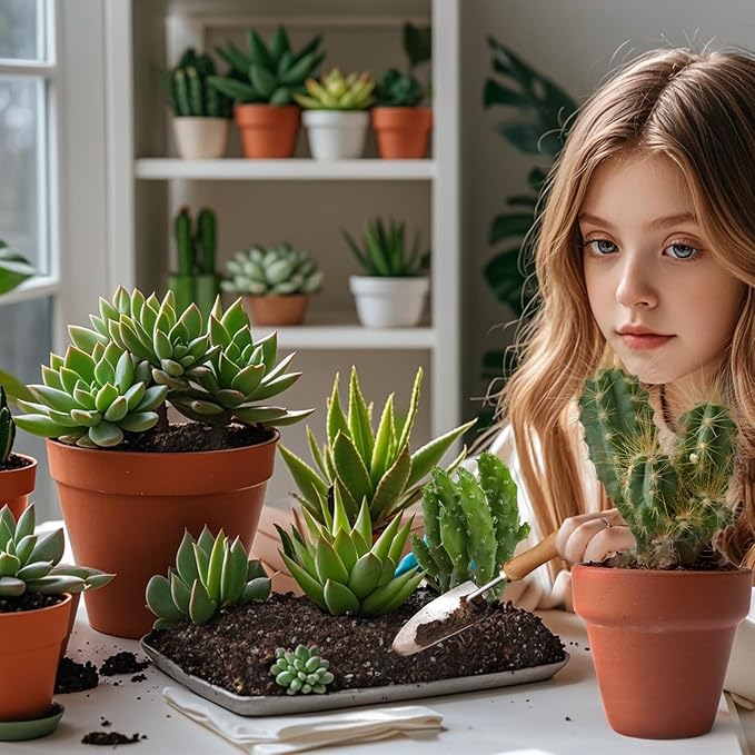 Cactus & Succulent Soil Mix 2qt, Chunky Well-Draining Soil for Indoor Plants - Spike & Bloom